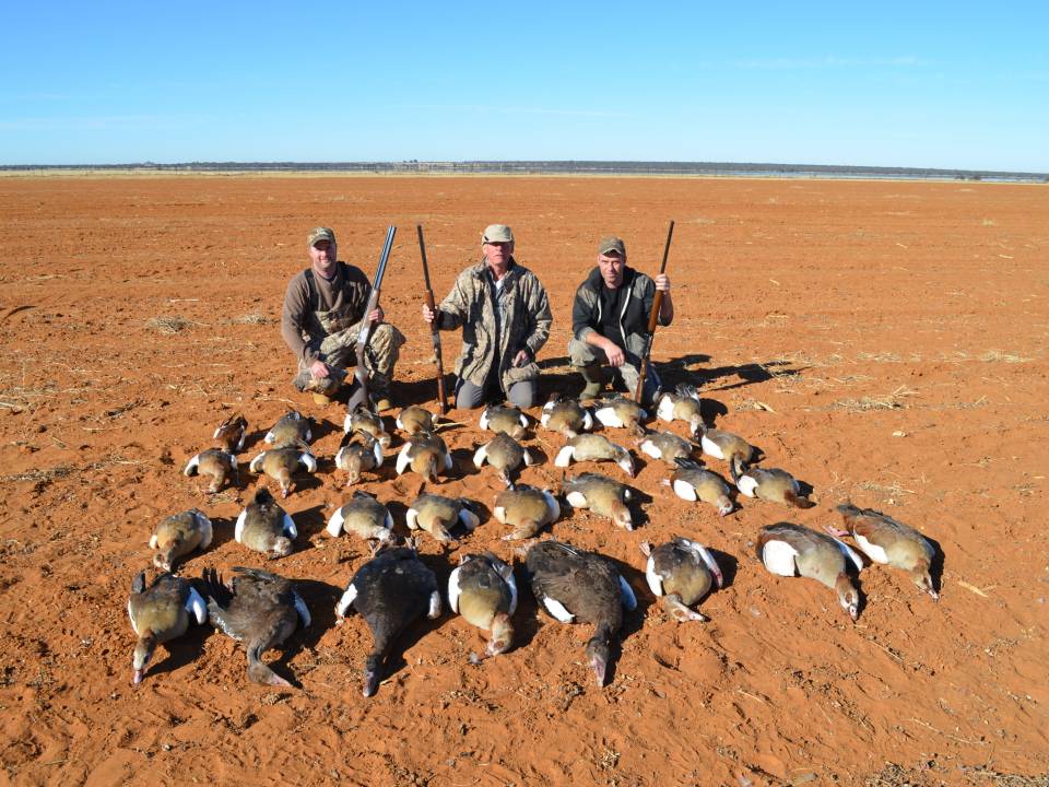 Goose Hunting in Africa.jpg